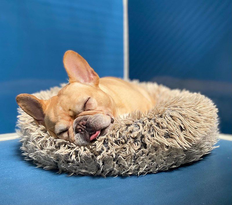 overnight hotel services