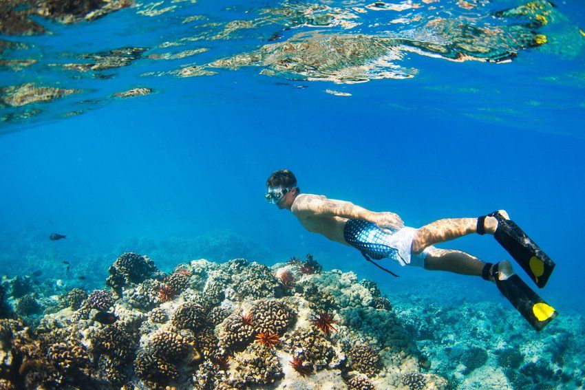 Vacation Packages