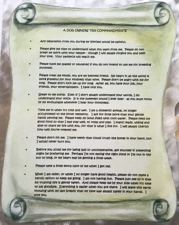 Dog Owners' Ten Commandments