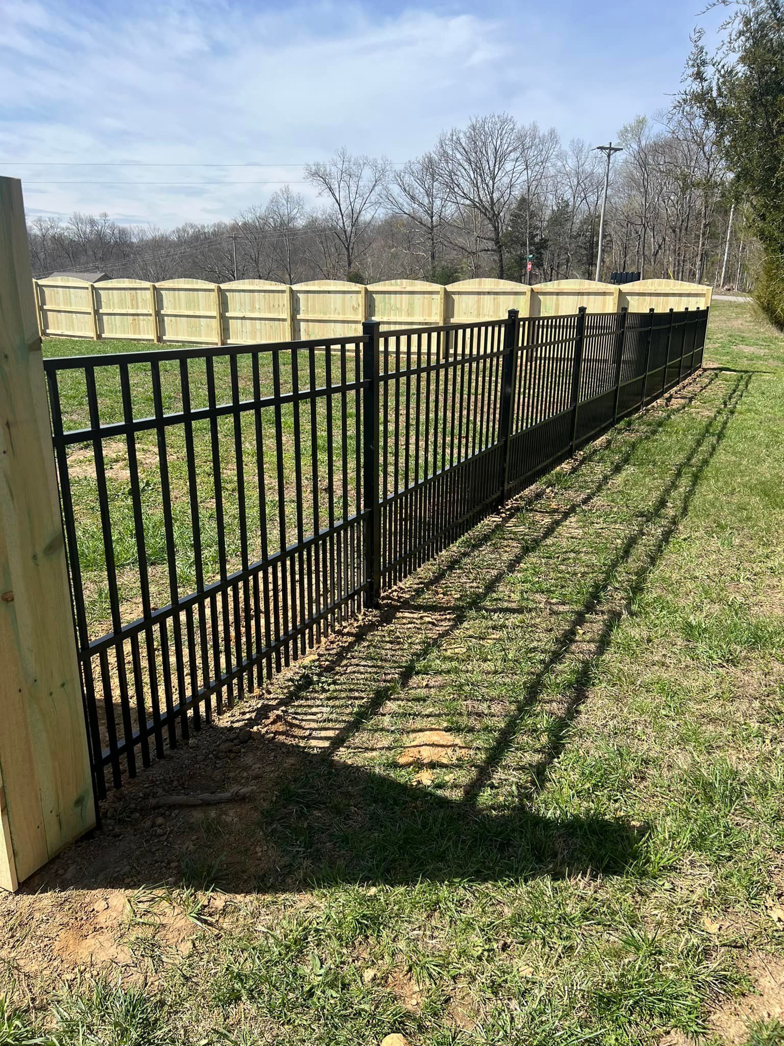 A black metal fence runs through a grassy yard in front of a wooden privacy fence under a clear sky.