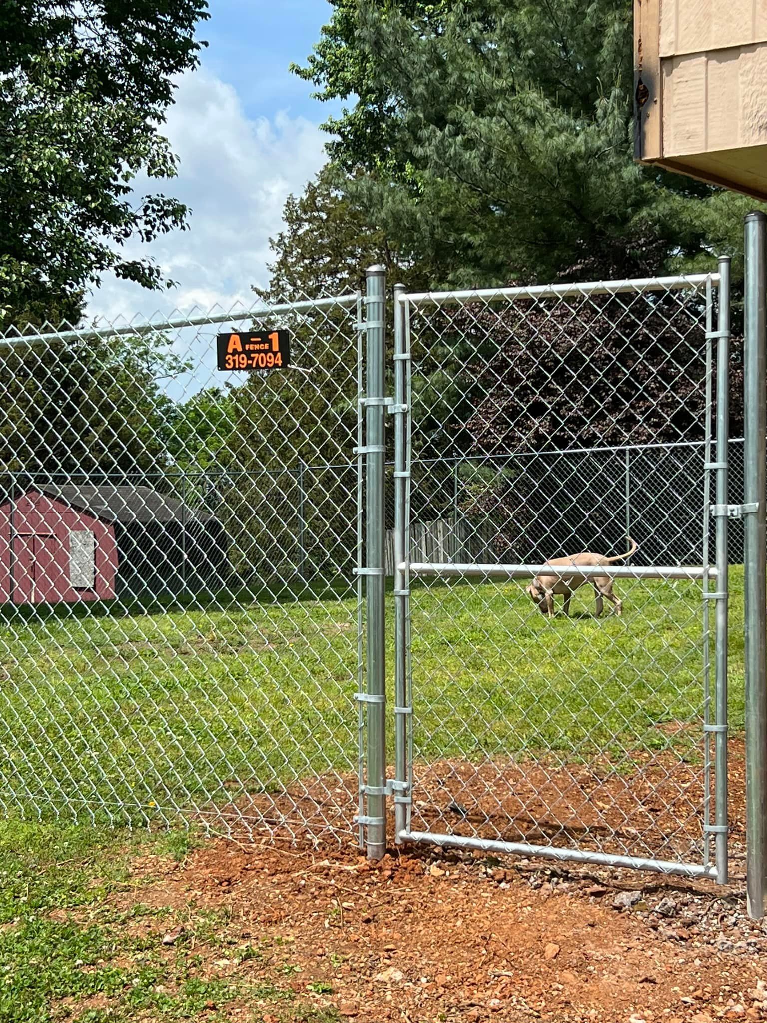 A tan dog stands on a grassy lawn behind a silver chain-link fence gate, which features a black and orange warning sign.