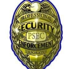 Professional Security Corporation-Logo