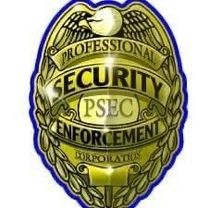 Professional Security Corporation-Logo