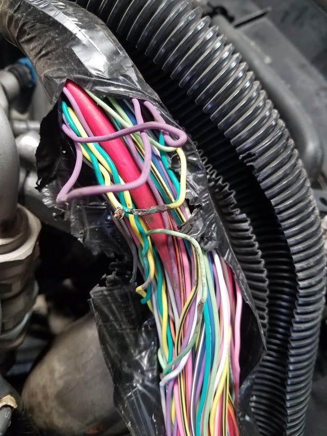 M Power Truck & Diesel Repair Services