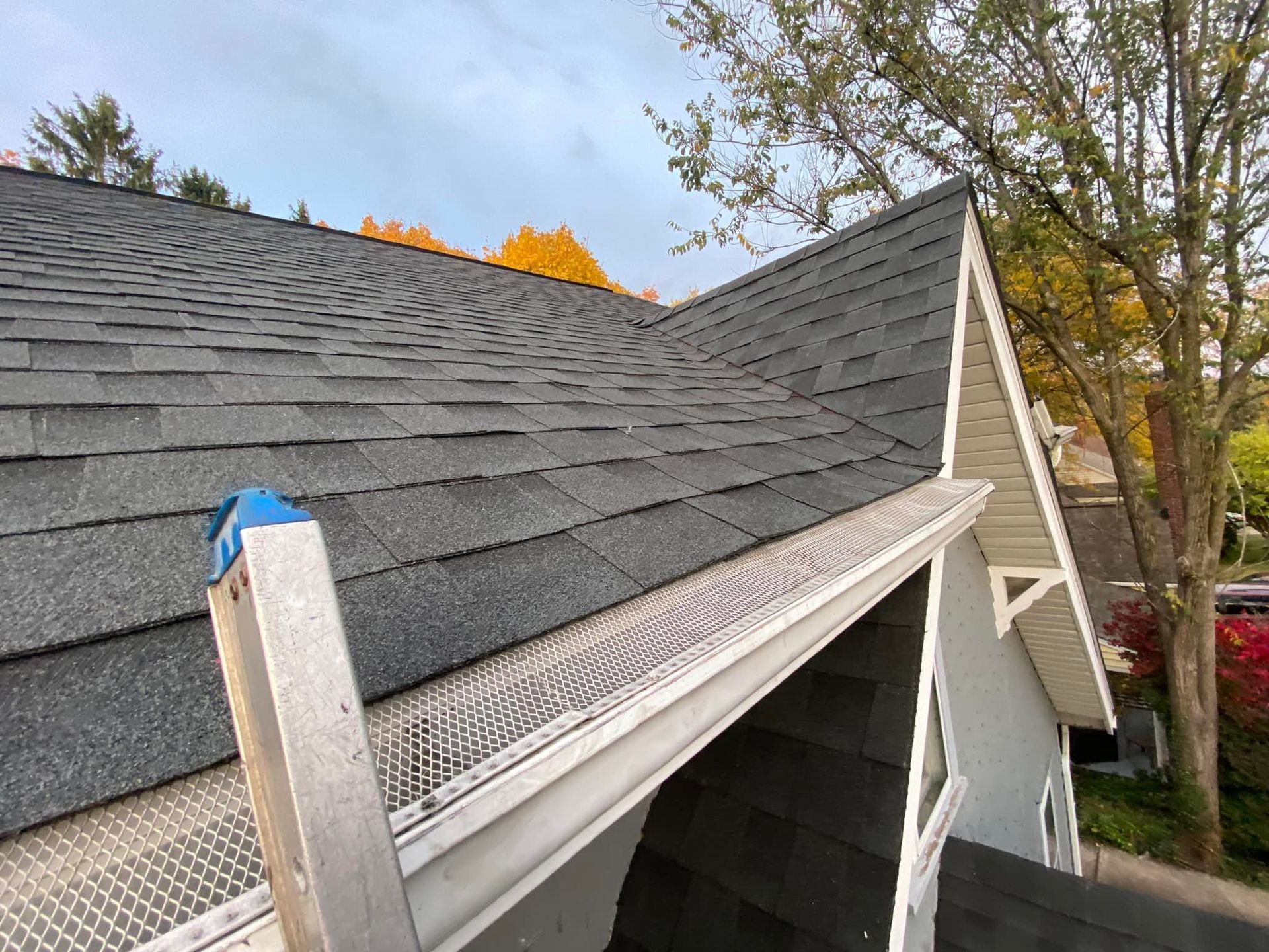 Black shingled roof with gutter guards, a ladder, and a glimpse of sky and trees.
