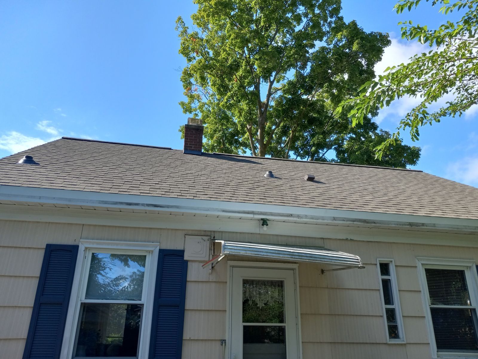 A house with a roof and a tree in the background.
