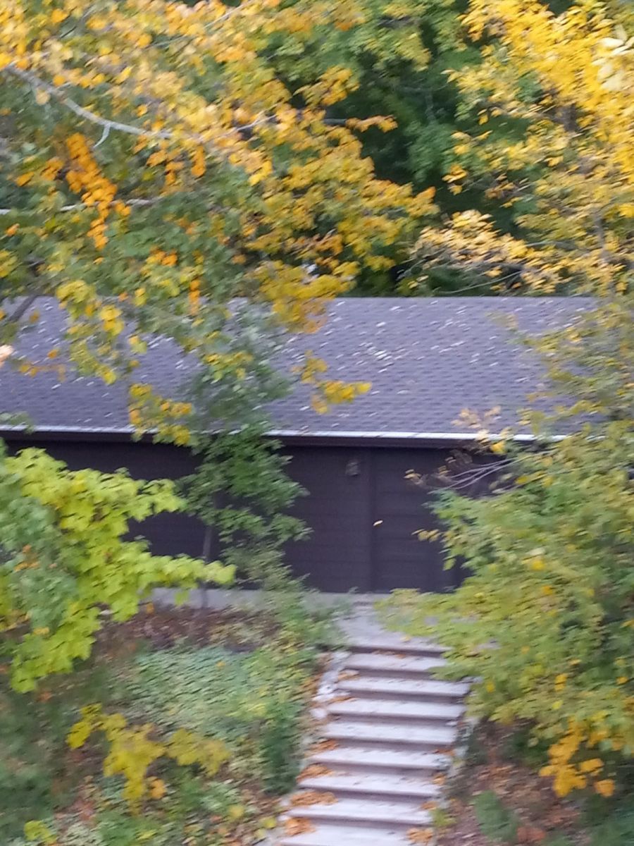 A house with stairs leading up to it in the woods
