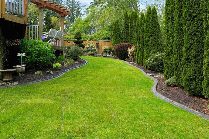 Green backyard with manicured lawn, shrubs, trees, and wooden fence.