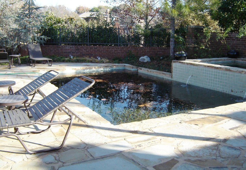 Pool Renovation