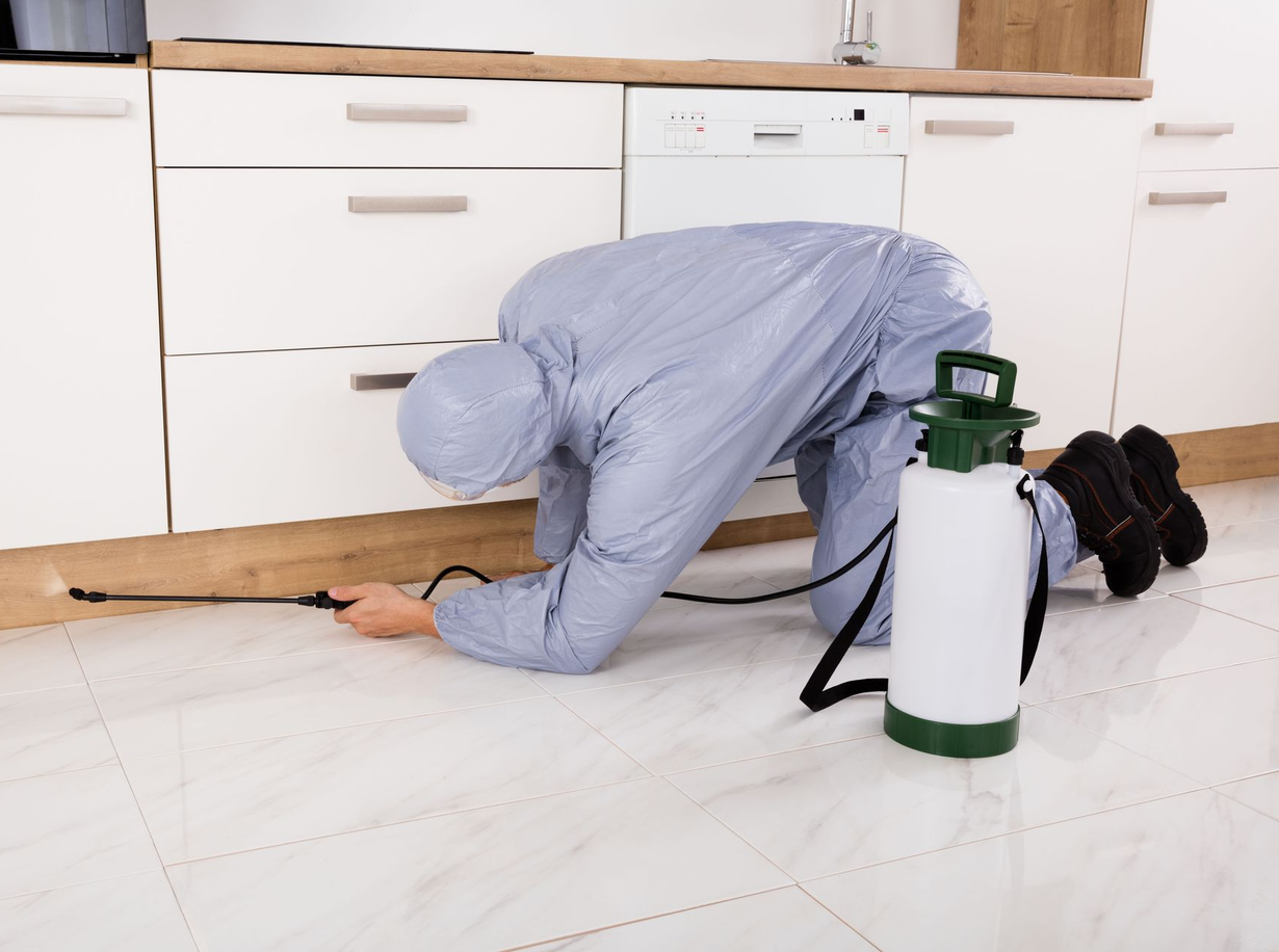 Pest control worker spraying insecticide in a kitchen, dressed in protective gear.