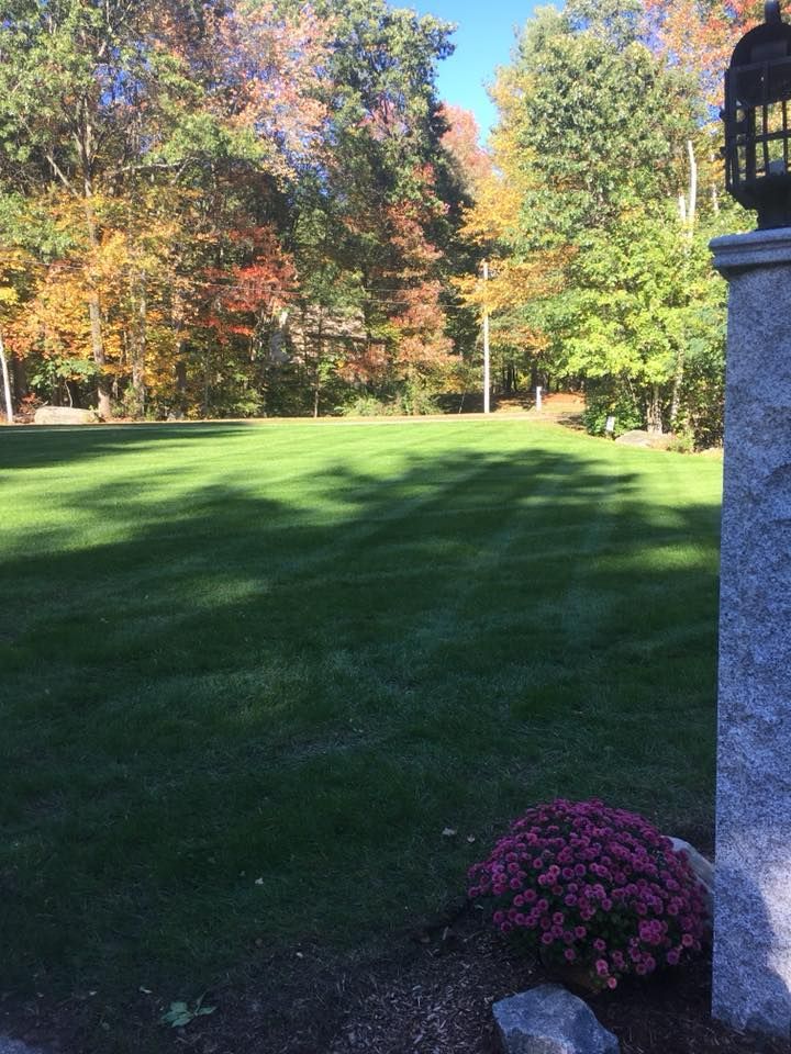 Sunny backyard lawn with autumn trees and a small pink flowering bush beside a stone column