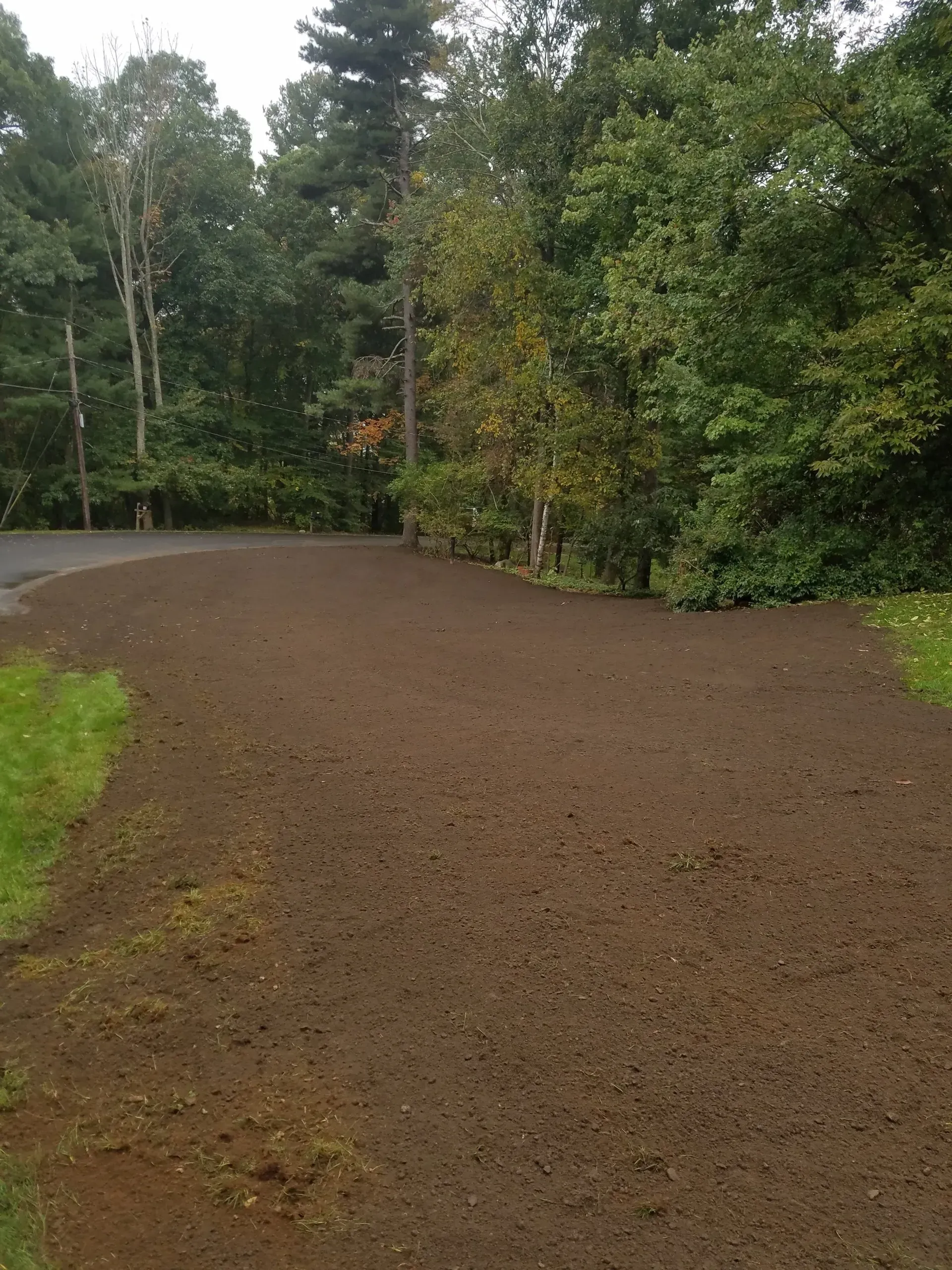 Gravel path curving through a wooded area with dense green trees and overcast light