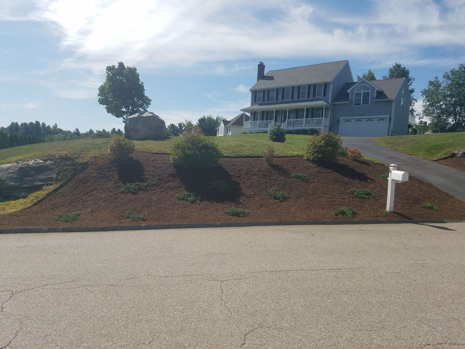 Front yard garden bed with shrubs and a large house under a blue sky