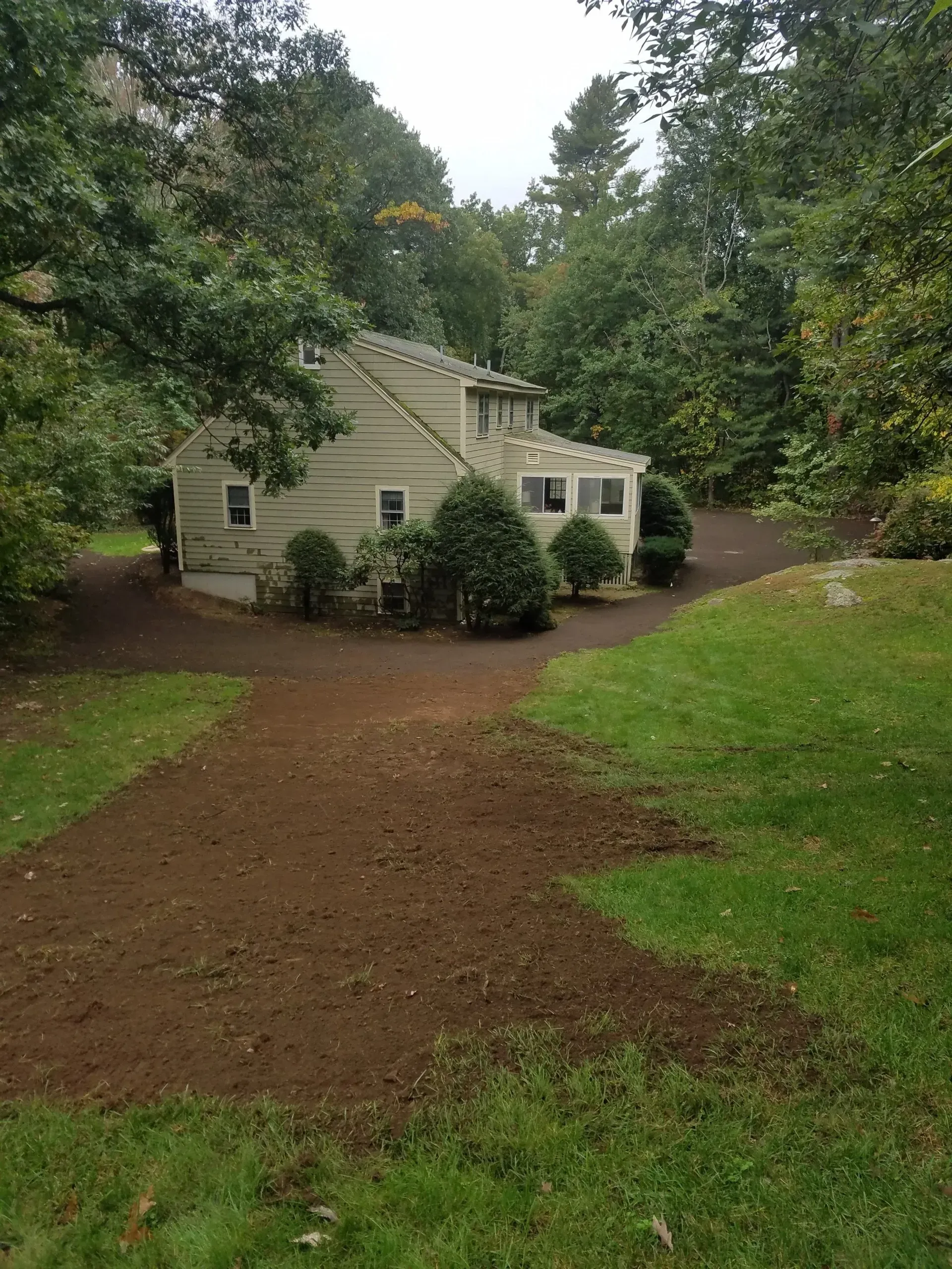 Small cream house with green shutters beside a wooded dirt driveway and grassy yard