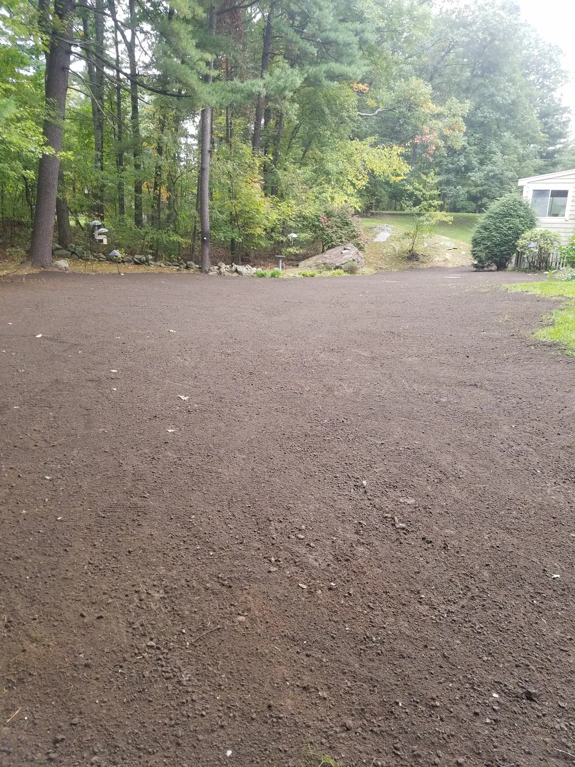 Gravel driveway beside a wooded campsite, with a small RV in the distance.