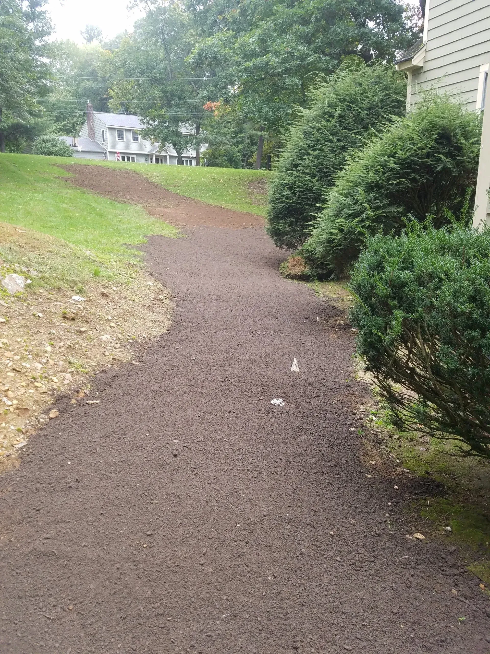 Curved gravel path beside shrubs and grass leading to a house in a wooded yard