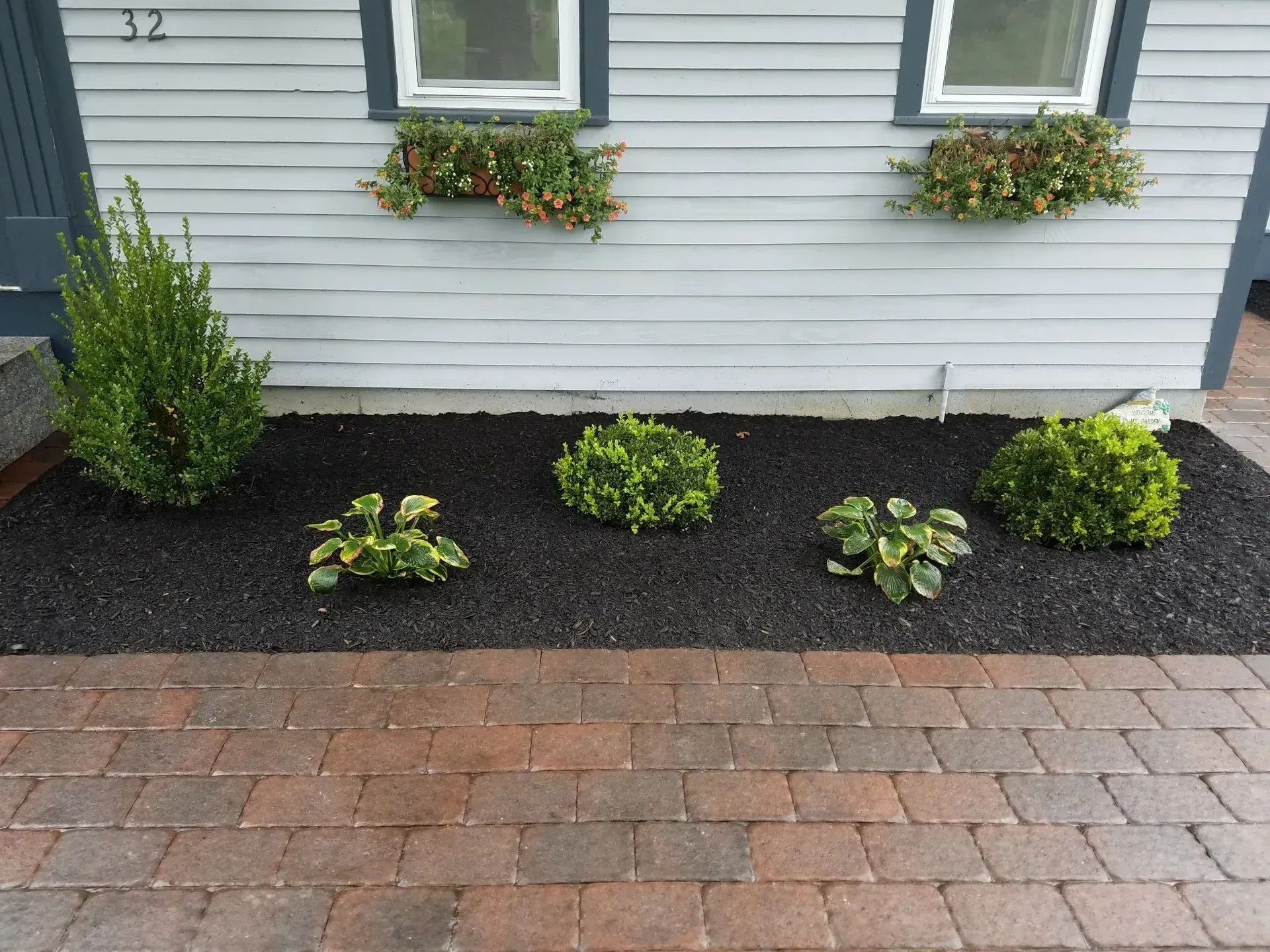 Front of a gray house with flower boxes, shrubs, and a brick walkway bordered by black mulch.