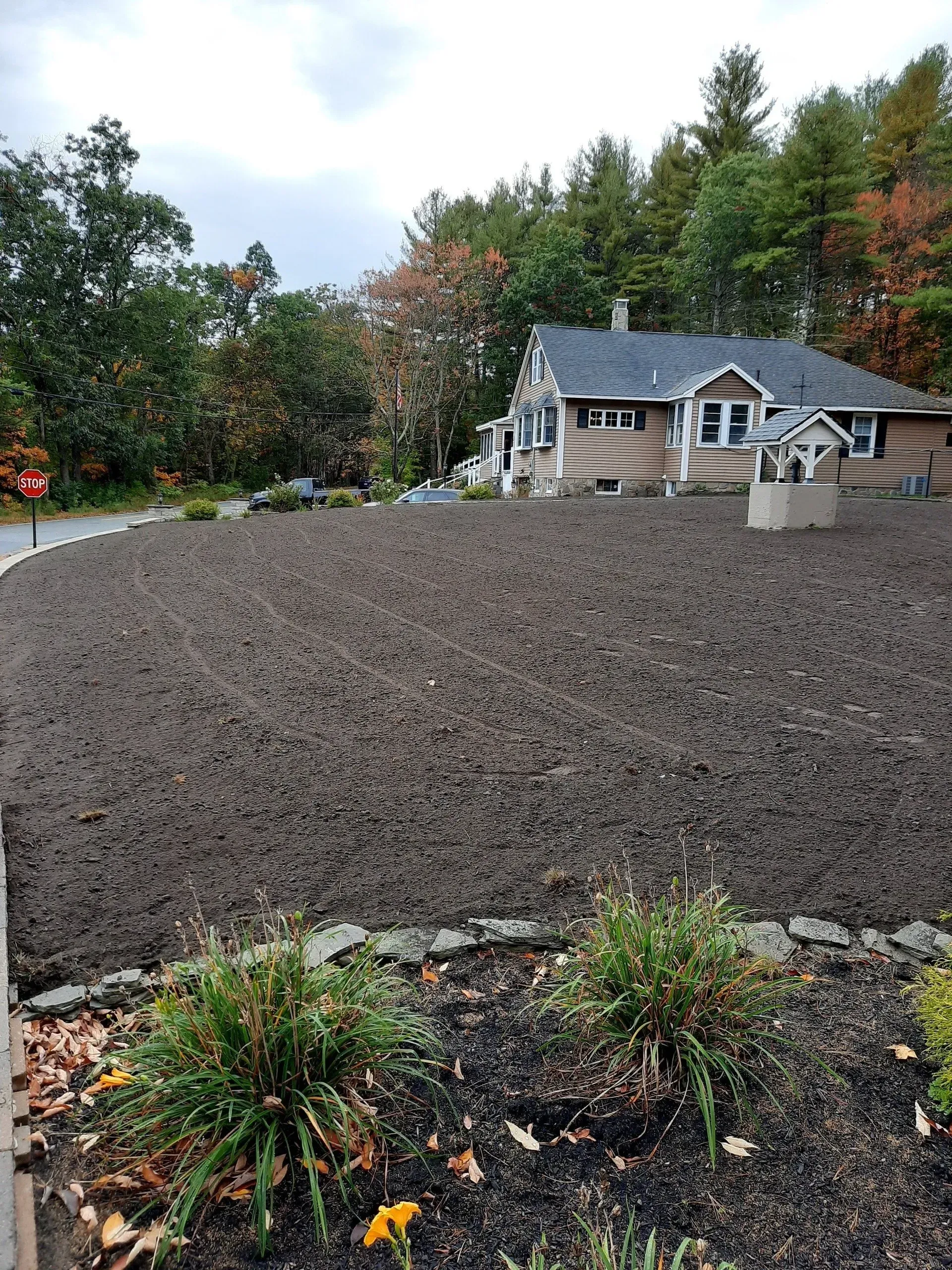 Freshly mulched yard with a small log cabin house and trees in the background
