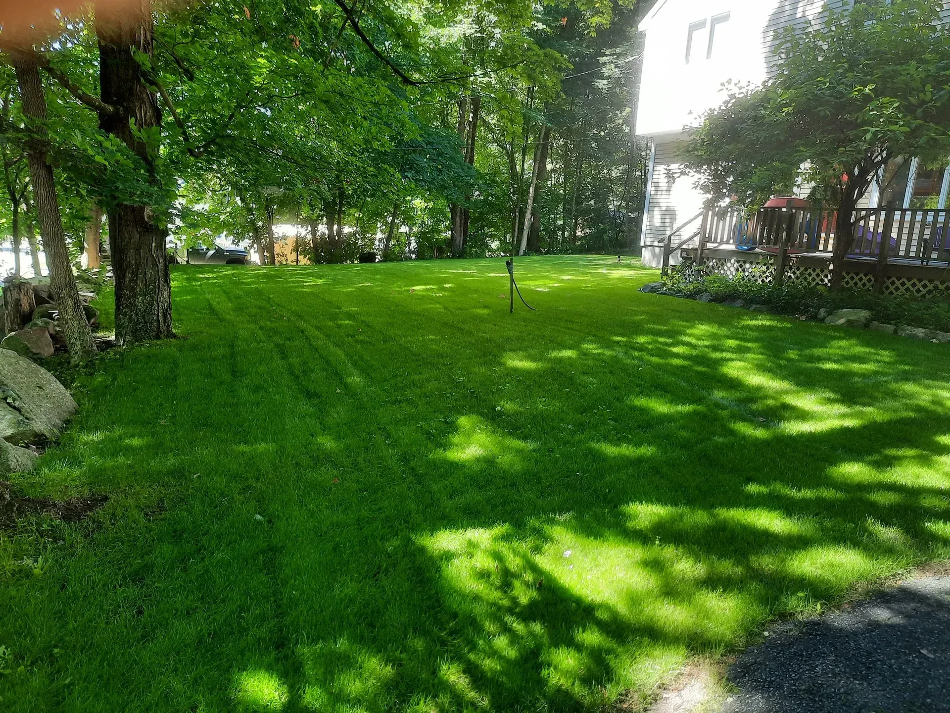 Shaded green lawn beside trees and a building, with sunlight filtering through leaves.