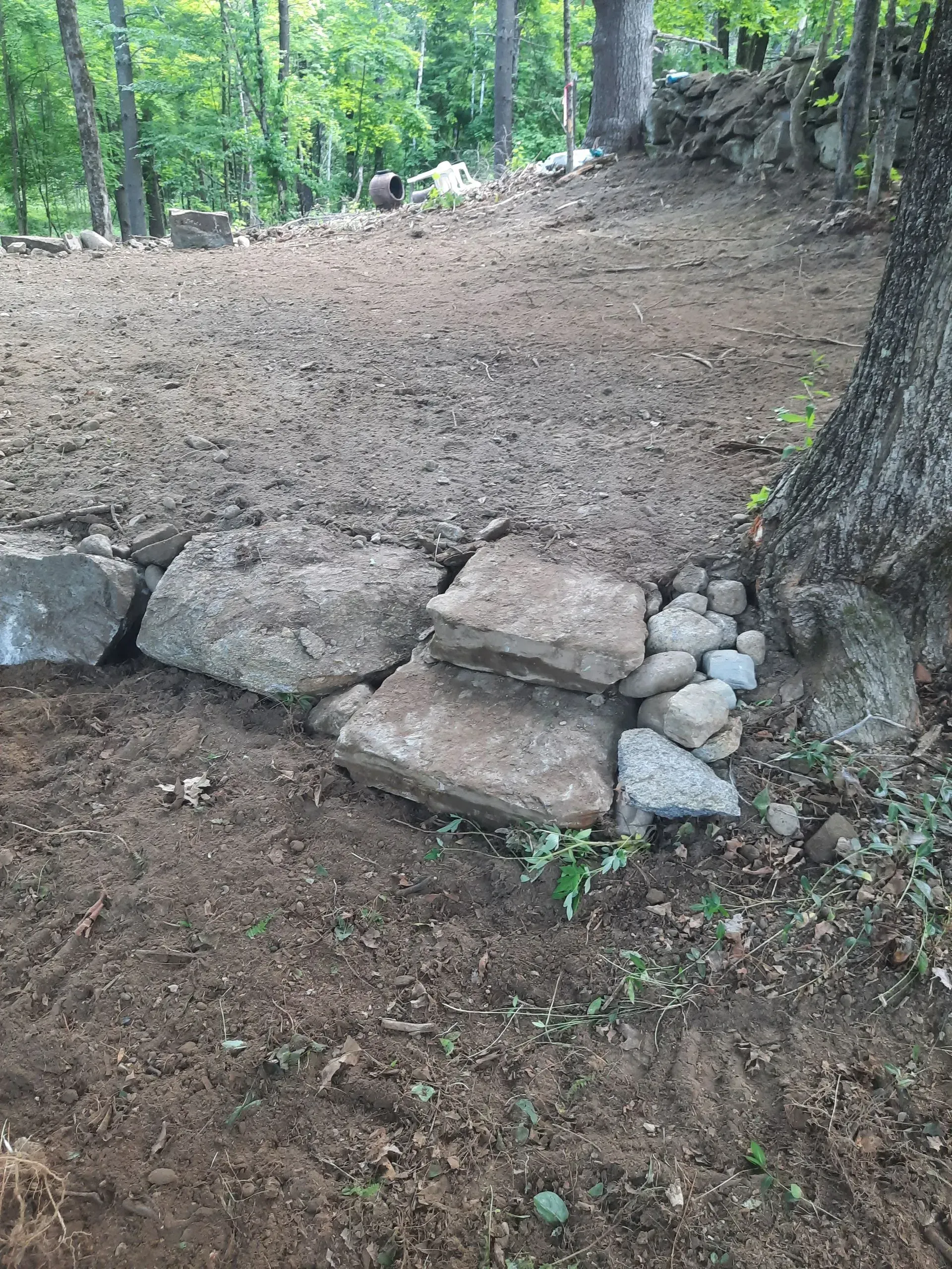 Rocky dirt trail with stacked stones and trees in a wooded area