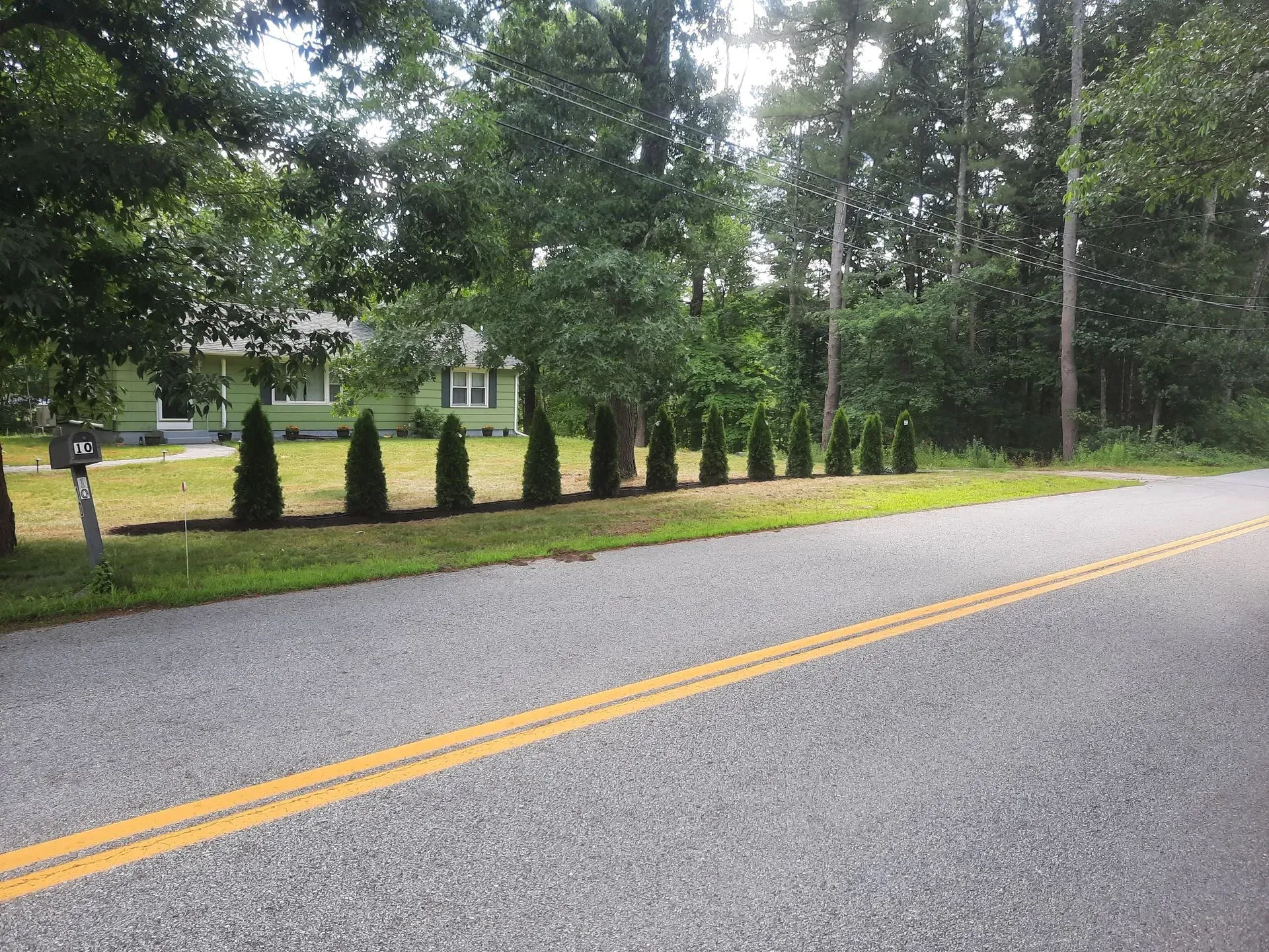 Tree-lined suburban road beside a grassy yard and house, with double yellow lines on the pavement.