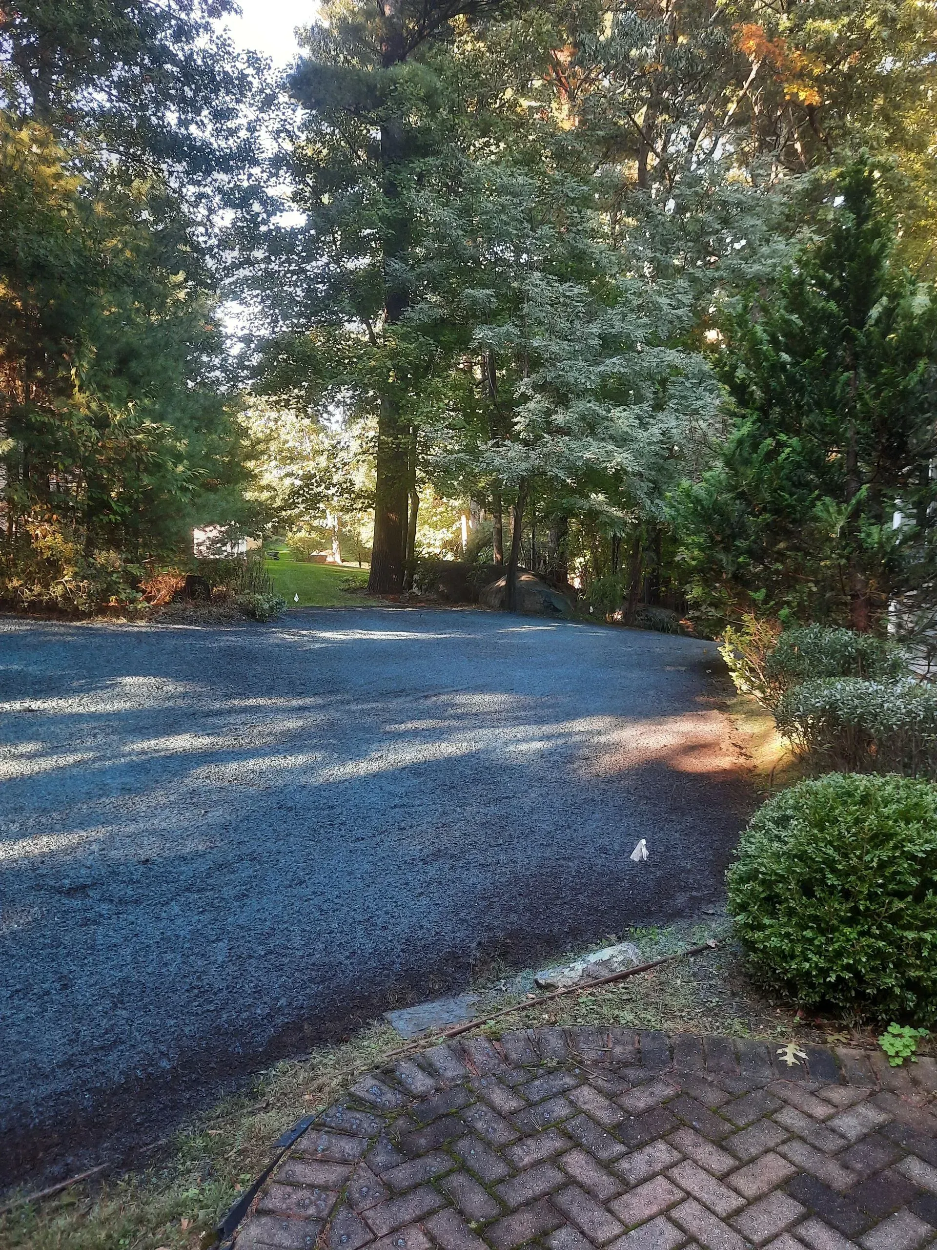 Gravel driveway bordered by trees and shrubs, with a brick patio in the foreground.