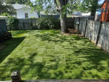 Lawn Boss Landscaping