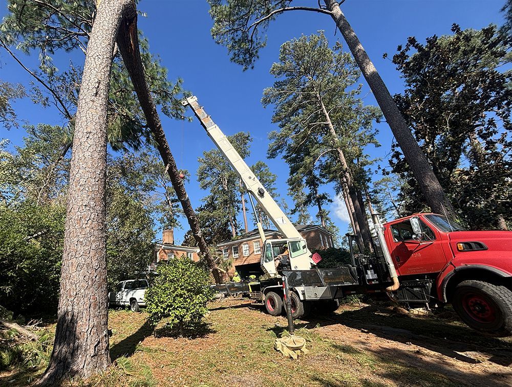 Worker in a lift trimming a tree branch in a forested area