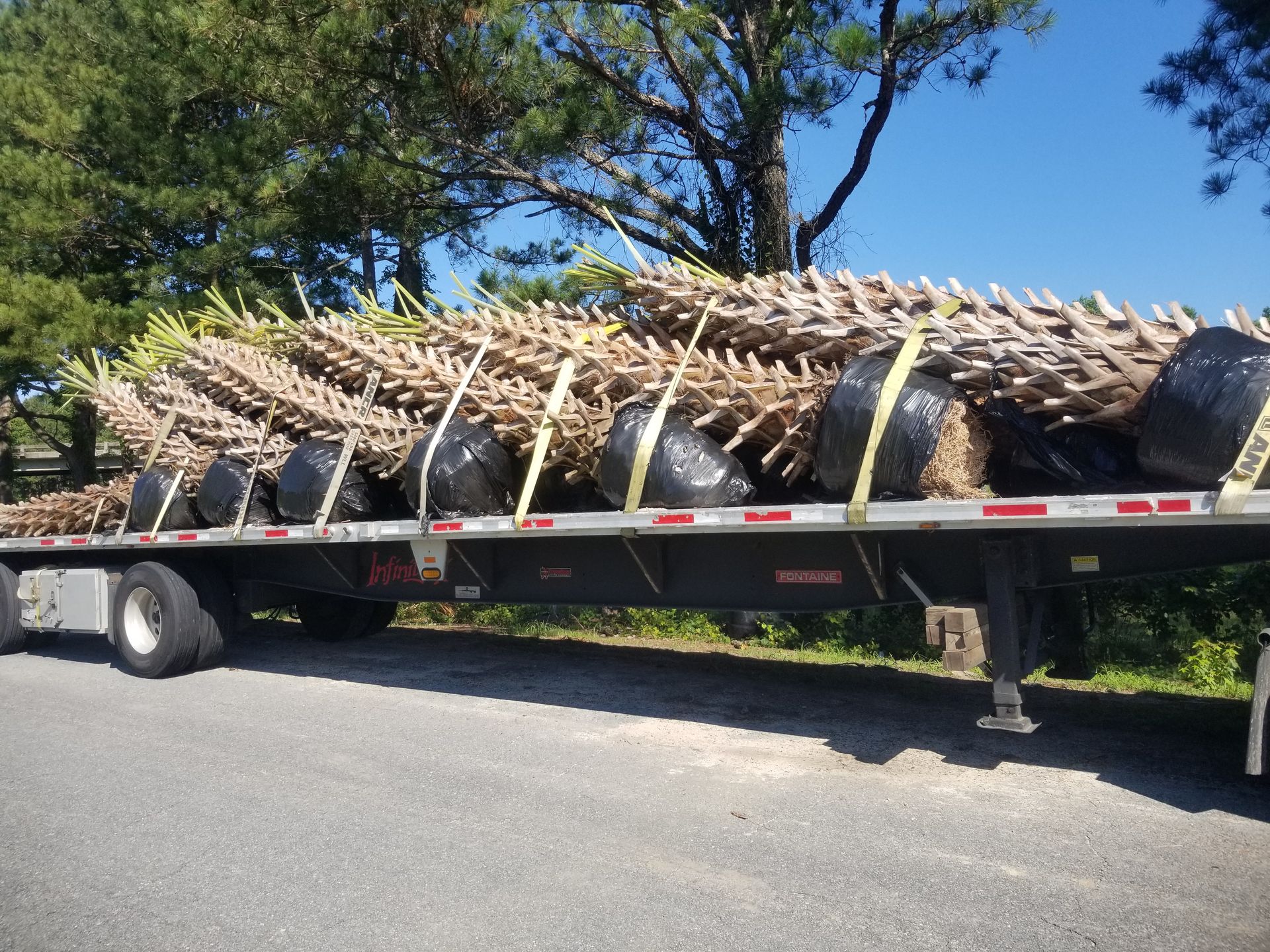 a semi truck loaded with christmas trees is parked on the side of the road