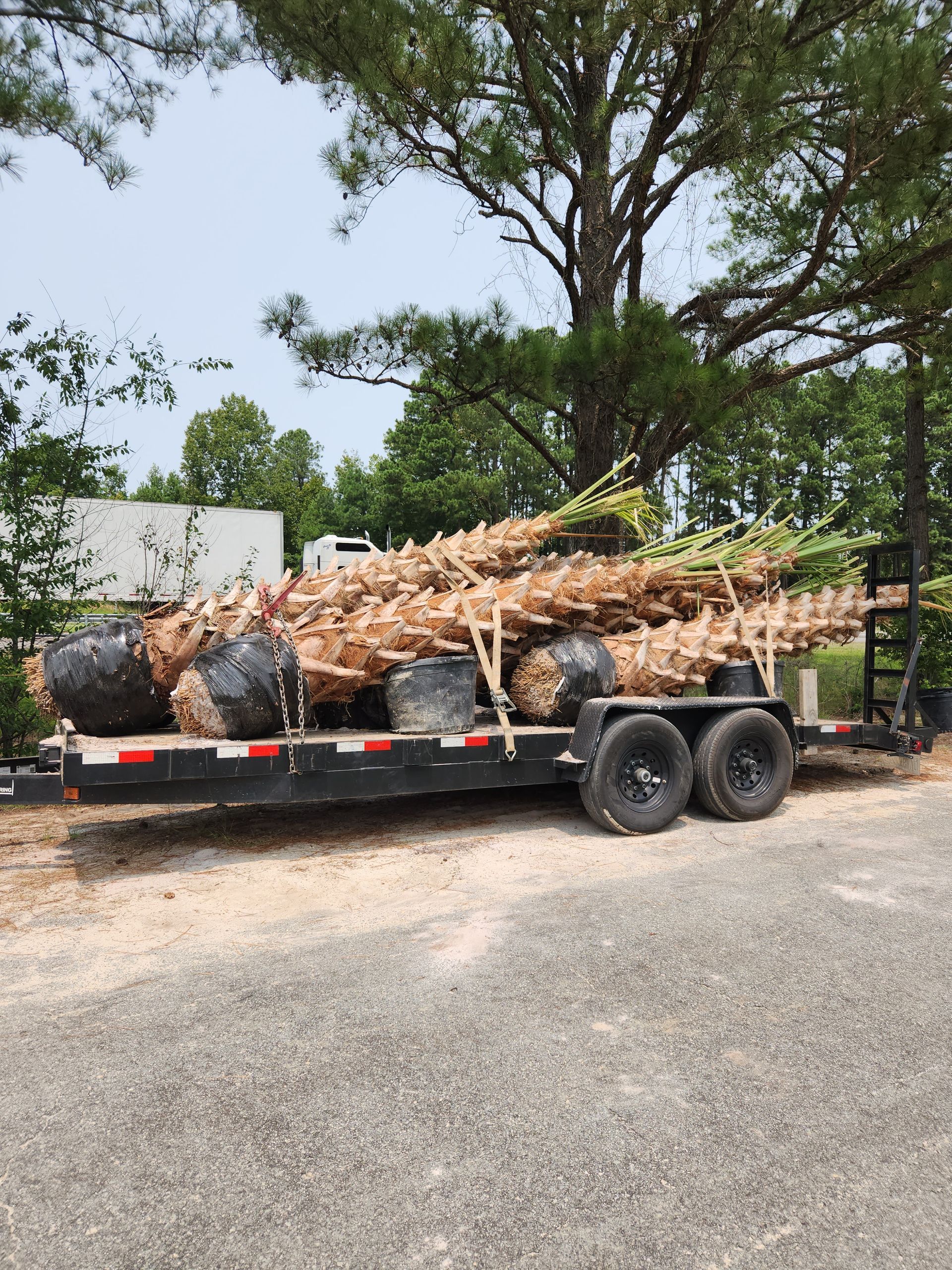 a trailer filled with trees is parked on the side of the road