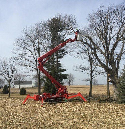 Branch Removal Chipping Services Valpraiso, IN