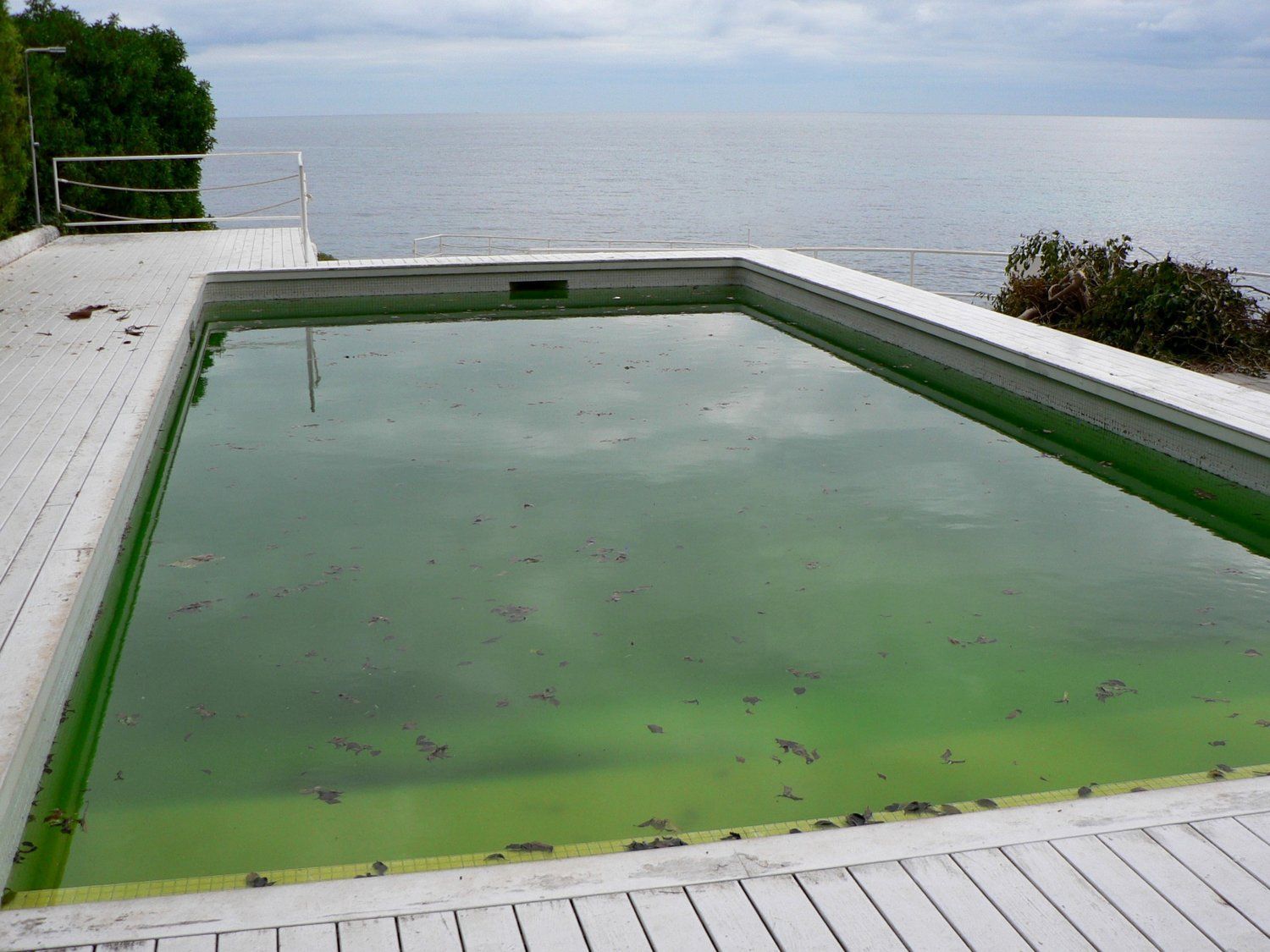 a swimming pool with green water and a view of the ocean