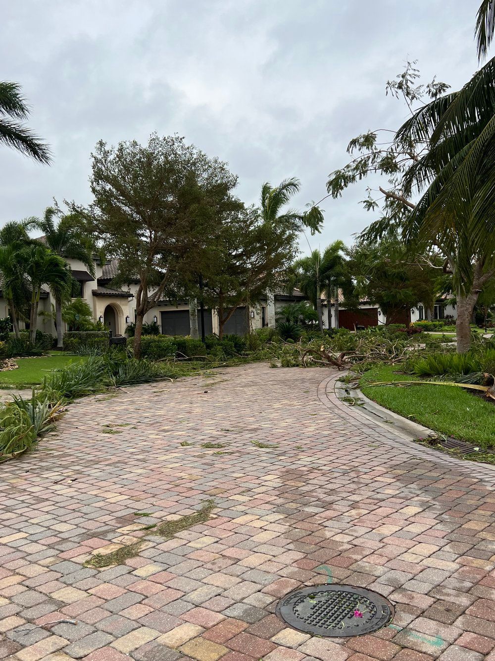 a brick driveway leading to a house with trees damaged by the storm