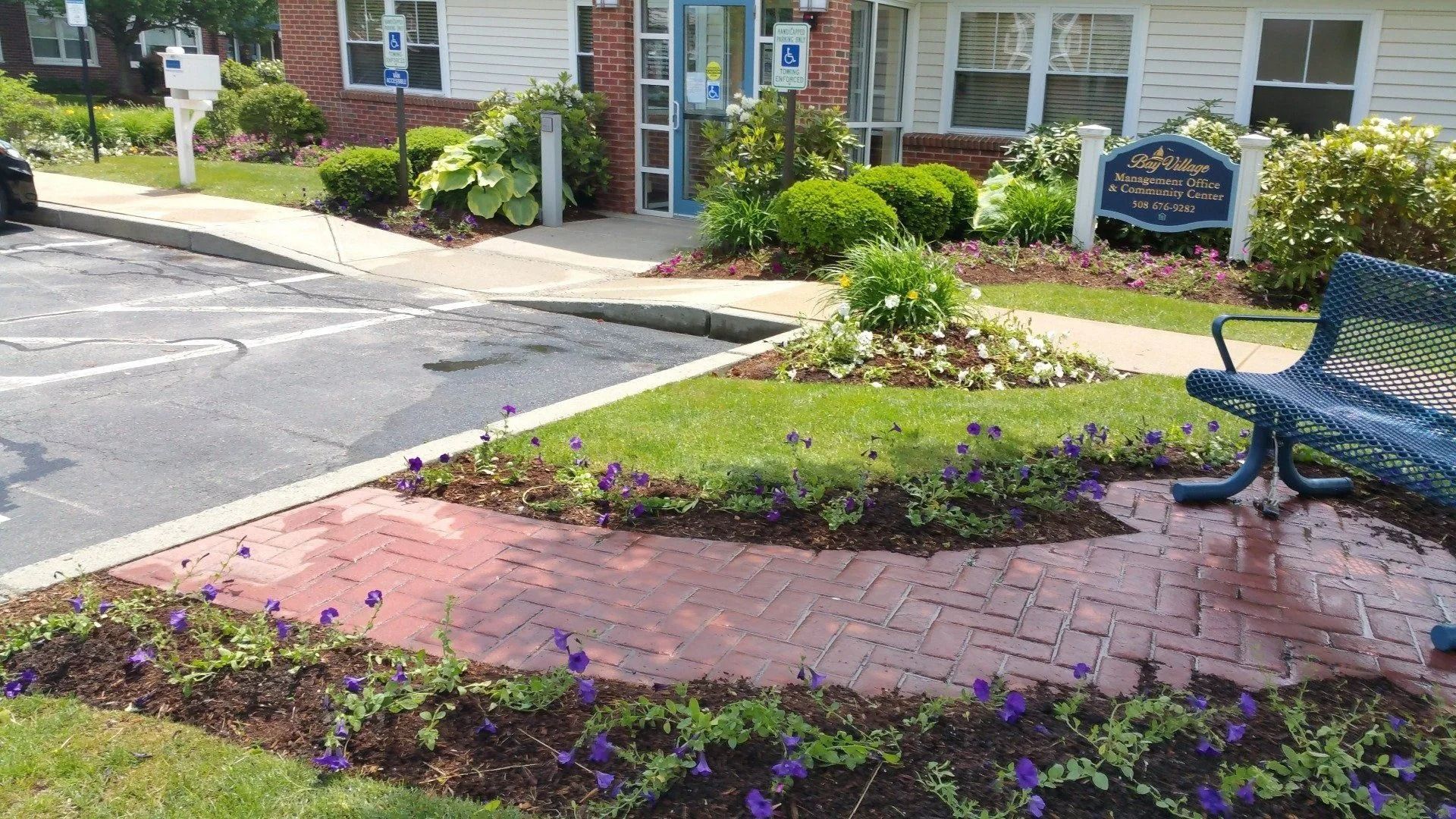 A blue bench sits on a red brick path leading to a building entrance surrounded by green shrubs and purple flowers.