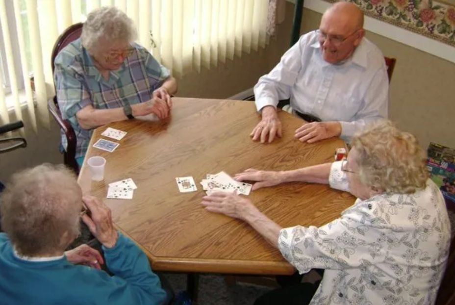 Four adults play cards around a wooden table in a sunlit room