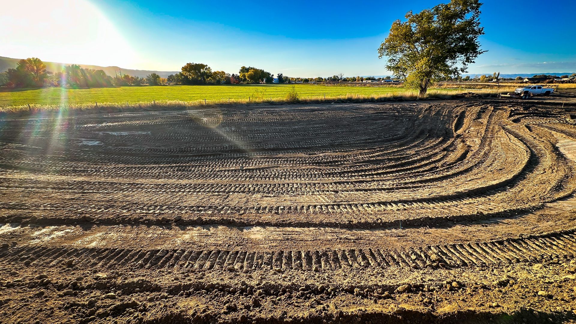 A dirt field with a tree in the background and the sun shining through the trees.