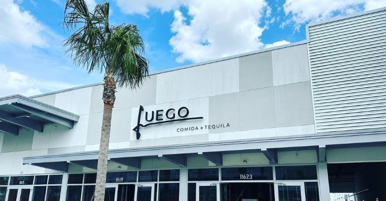 A large white building with a palm tree in front of it.
