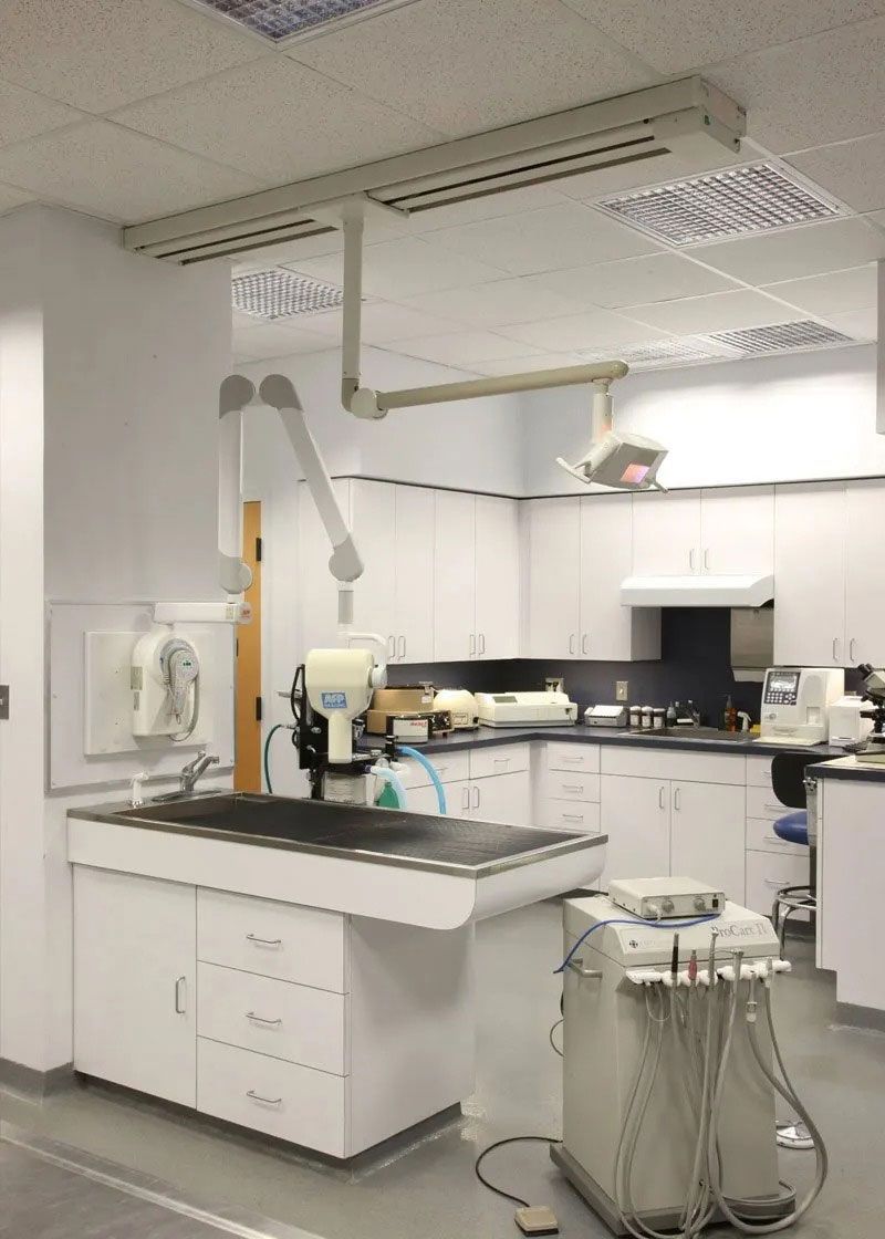 Dental treatment room with exam chair, overhead lights, cabinets, and medical equipment