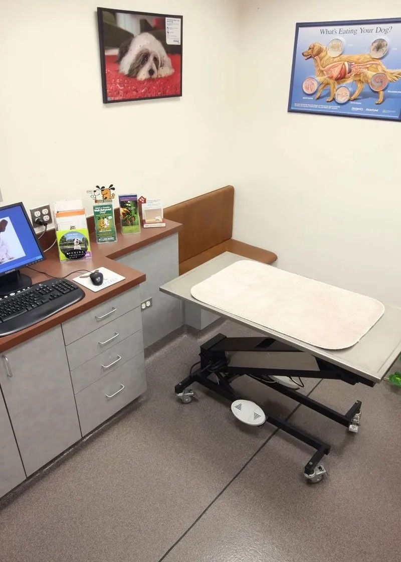 Small office with desk, computer, wall art, and an adjustable exam table on wheels