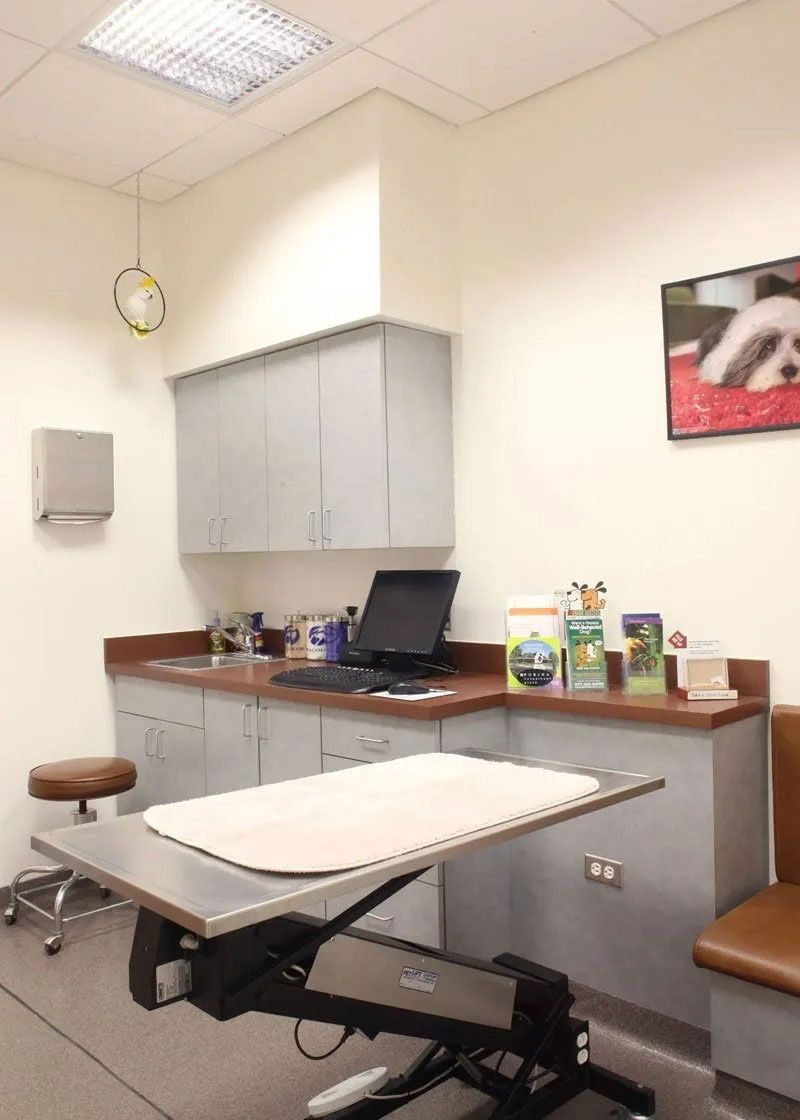 Exam room with medical table, cabinets, laptop, and supplies on counters