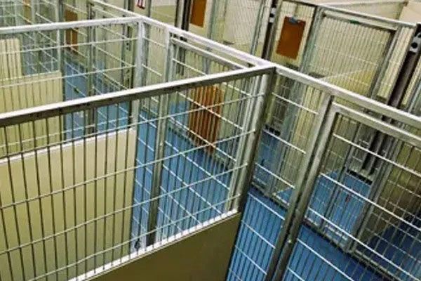 Overhead view of empty metal cage enclosures with blue and beige flooring in a kennel-like facility