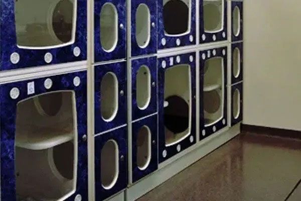 Blue cubby shelves with oval openings line a hallway, with a polished floor and white wall.