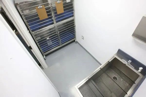 Small white room with a metal gate, blue storage shelves, and a stainless steel sink.