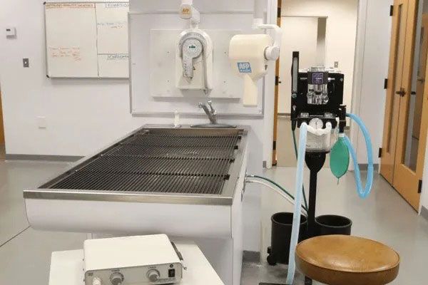 Large industrial sink in a clinical lab with wall-mounted equipment and blue tubing nearby