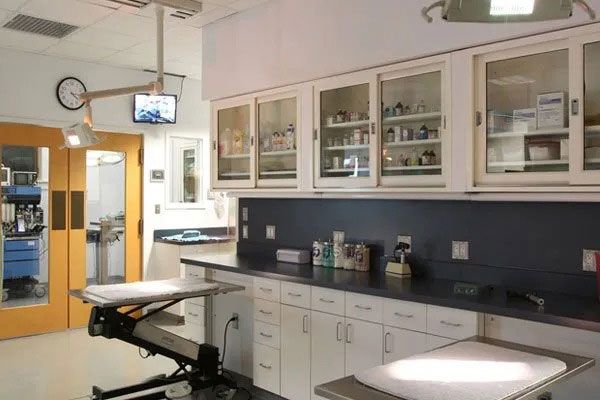 Dental clinic room with exam chair, white cabinets, dark countertops, and wall-mounted TV