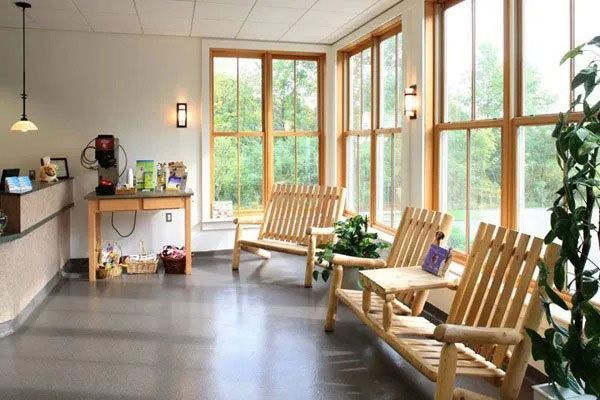 Bright sunroom with wooden chairs, plants, and large windows overlooking greenery