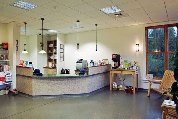 Bright, empty hotel or office lobby with a curved reception desk, pendant lights, and large windows