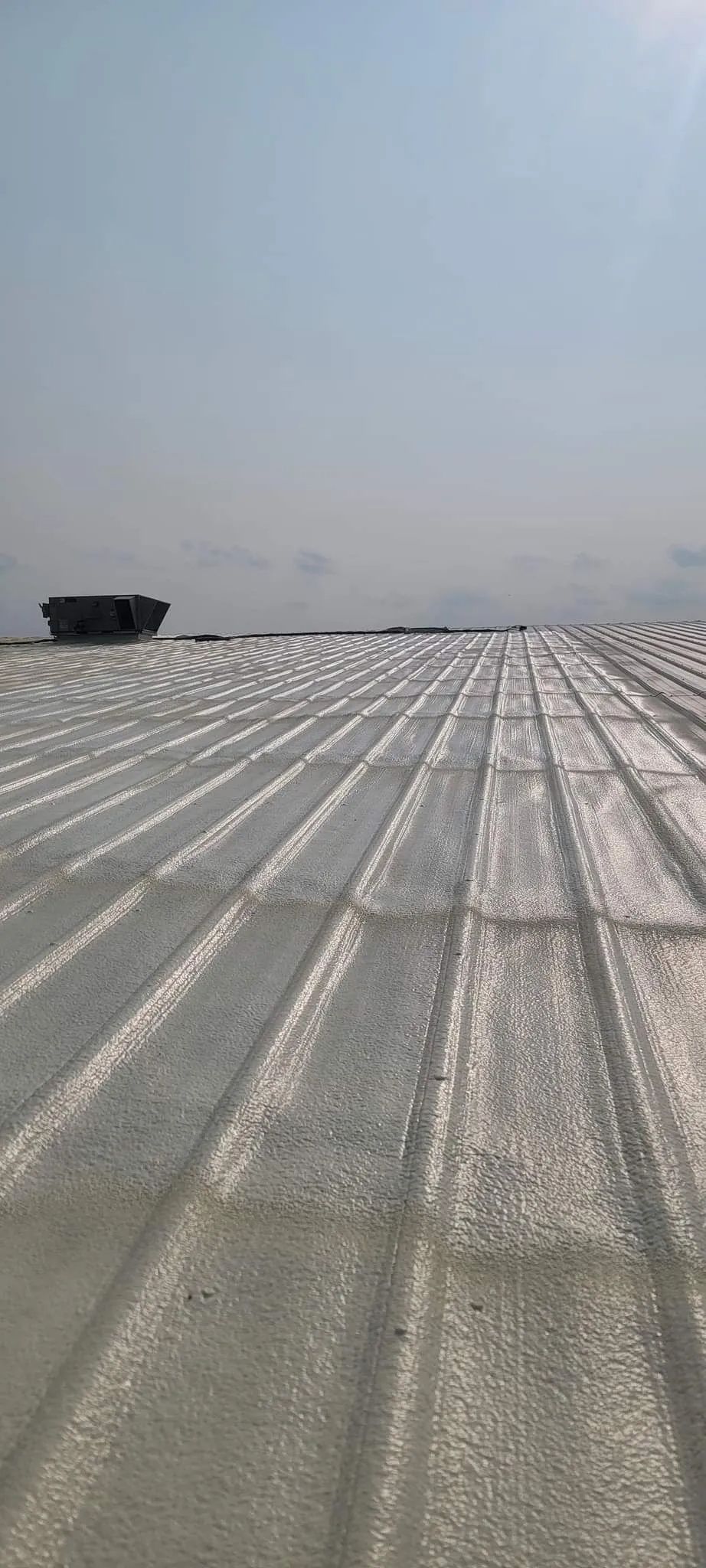 A field with rows of silver, reflective mulch covering the ground under a bright, hazy sky.
