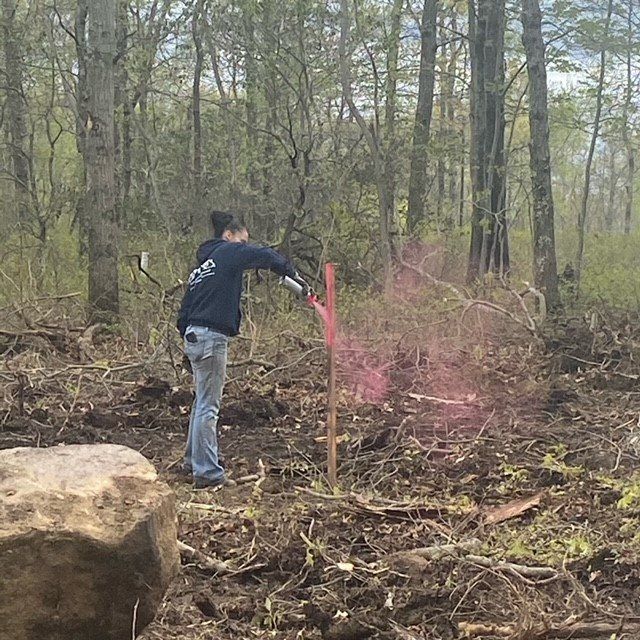 excavation professional