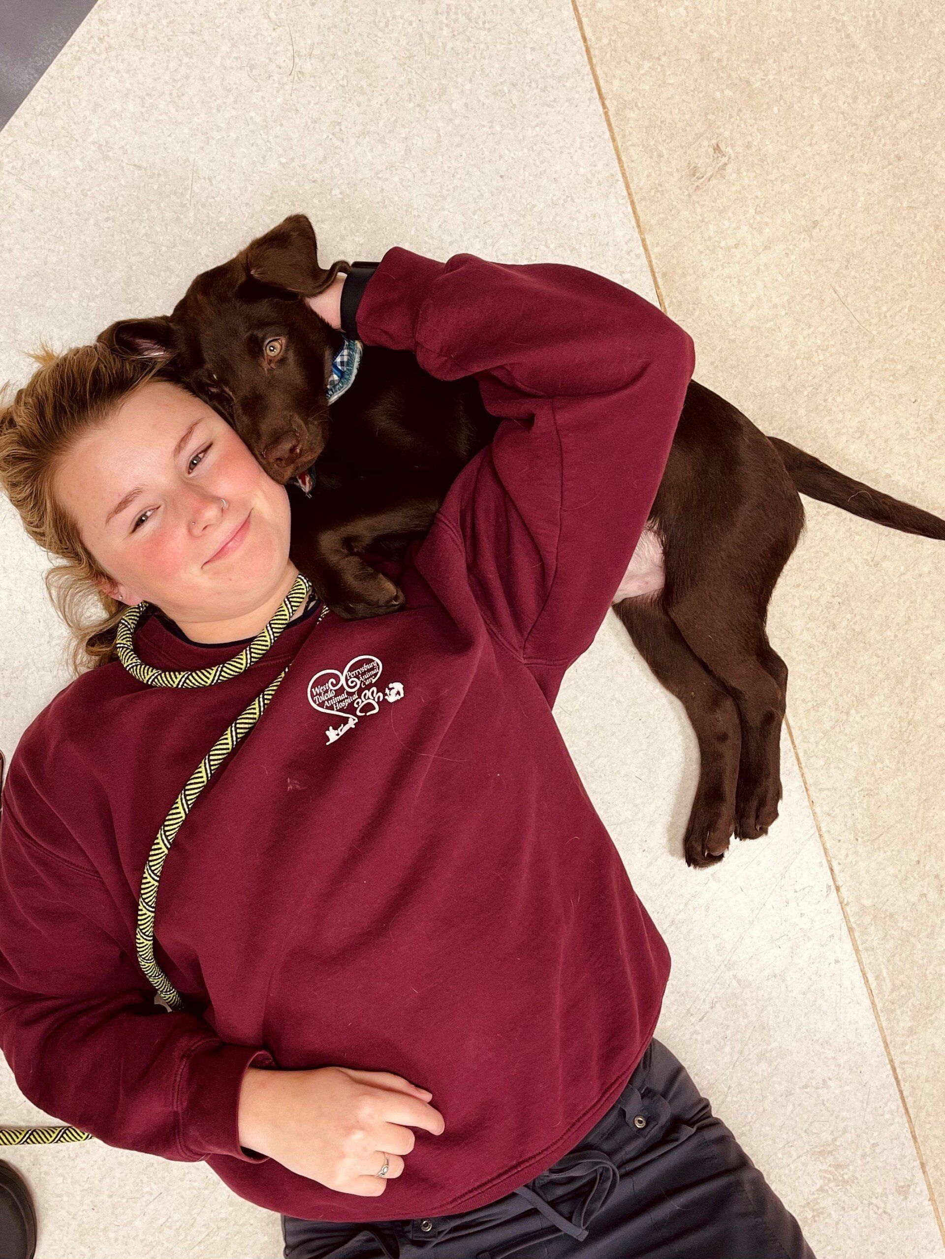 west toledo animal hospital